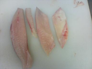 白身魚と赤身魚の違い