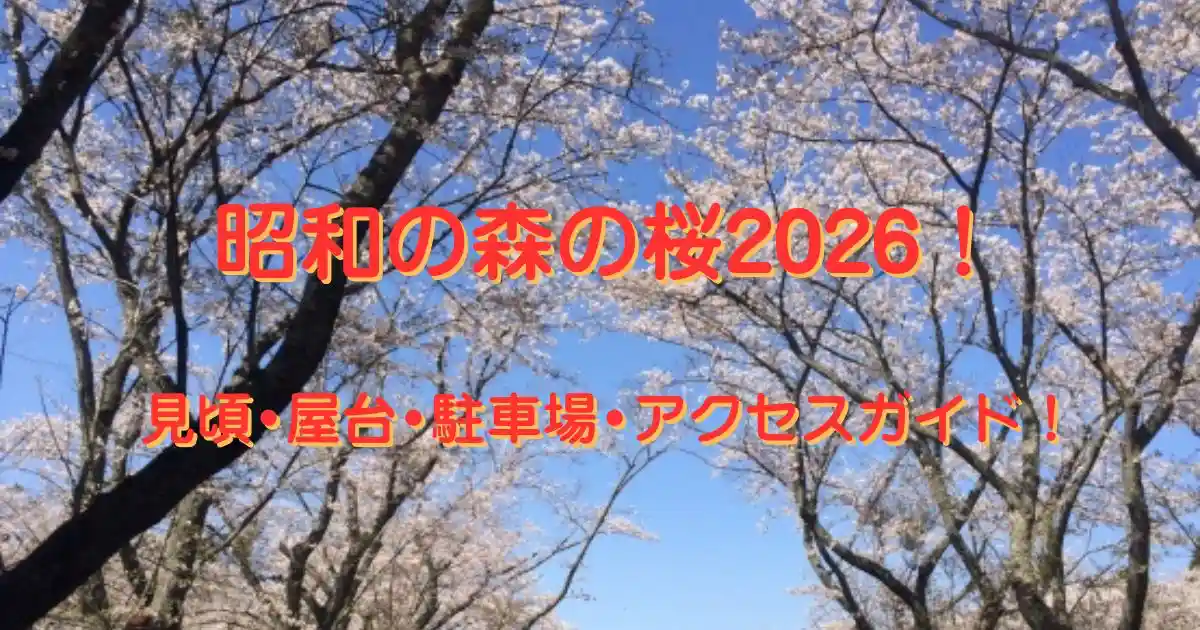 昭和の森の桜2026