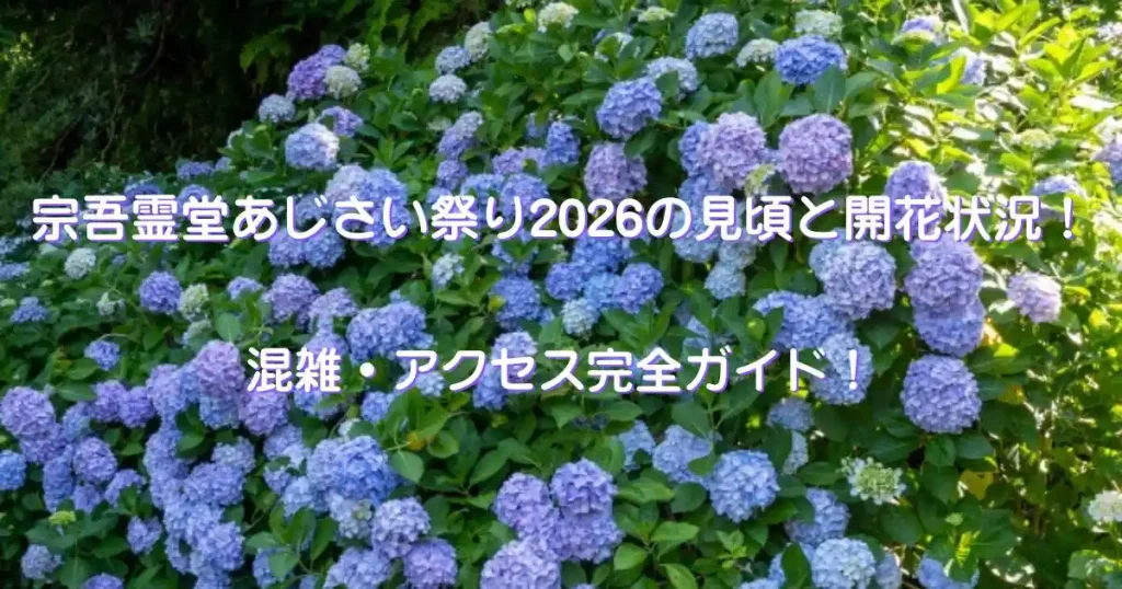 宗吾霊堂あじさい祭り