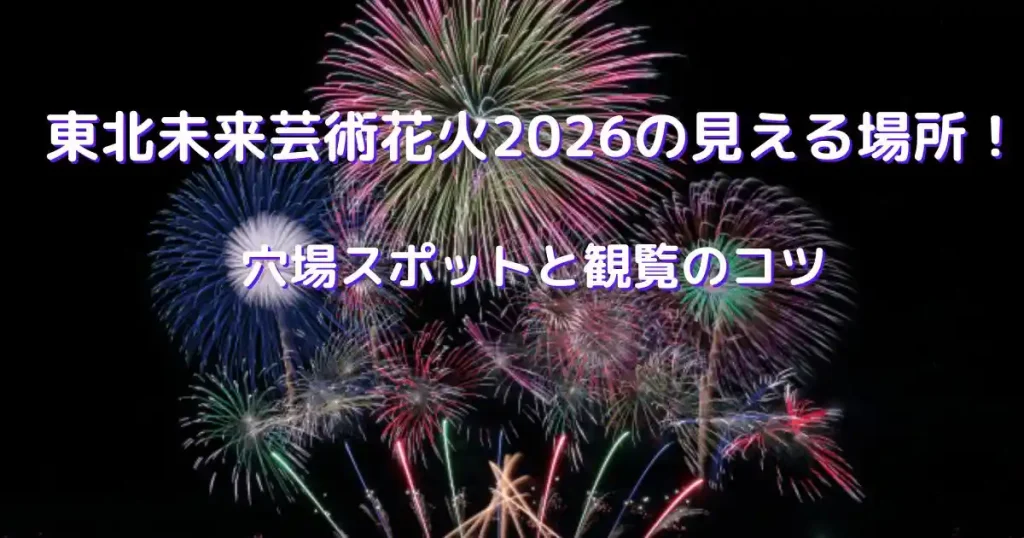 東北未来芸術花火大会