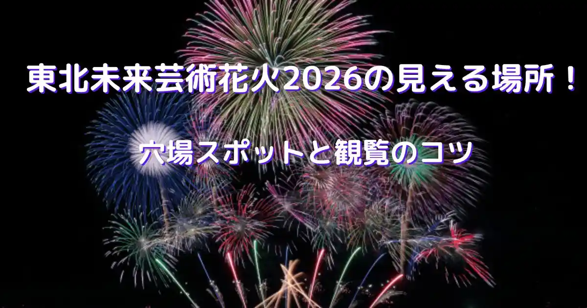 東北未来芸術花火大会